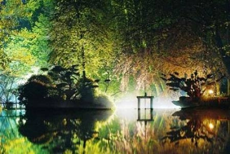 Khu vườn nhật tuyệt đẹp ở châu âu
