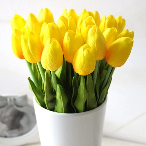 Kỹ thuật trồng hoa tulip trổ bông 100 để kịp trang trí nhà đón tết