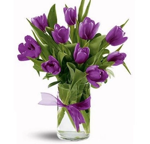 Kỹ thuật trồng hoa tulip trổ bông 100 để kịp trang trí nhà đón tết