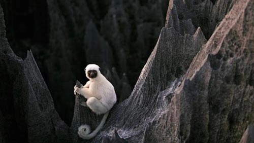 Lạc vào mê cung đá kỳ thú ở madagascar