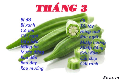 Lịch gieo trồng rau trong năm cho năng suất tốt chị em nên biết