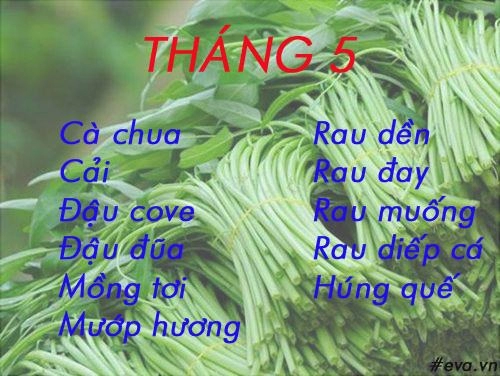 Lịch gieo trồng rau trong năm cho năng suất tốt chị em nên biết