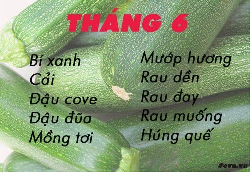 Lịch gieo trồng rau trong năm cho năng suất tốt chị em nên biết