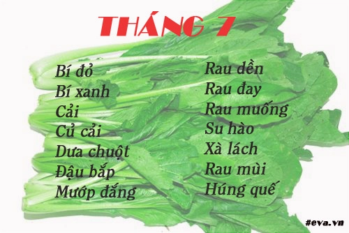 Lịch gieo trồng rau trong năm cho năng suất tốt chị em nên biết