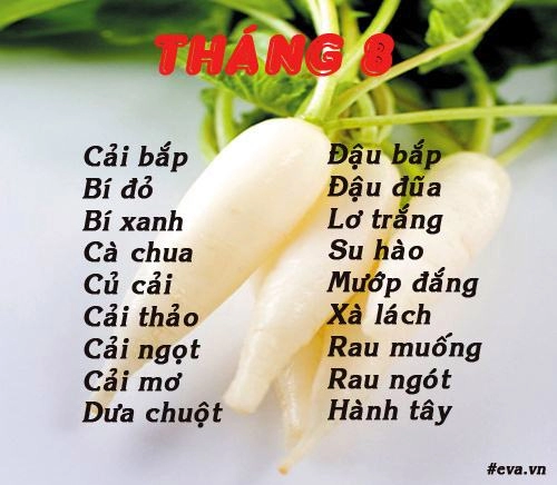 Lịch gieo trồng rau trong năm cho năng suất tốt chị em nên biết