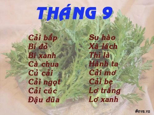 Lịch gieo trồng rau trong năm cho năng suất tốt chị em nên biết