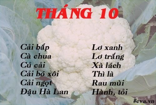 Lịch gieo trồng rau trong năm cho năng suất tốt chị em nên biết