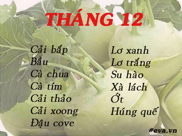 Lịch gieo trồng rau trong năm cho năng suất tốt chị em nên biết