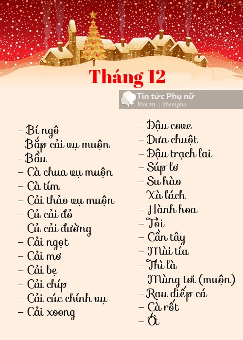 Lịch trồng rau trong thùng xốp đủ cho gia đình 6 người ăn suốt tháng 1112