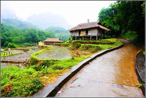 Một chiều thơ mộng ở thung nai
