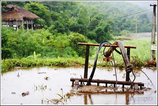 Một chiều thơ mộng ở thung nai