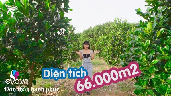 Một thời tay trắng làm mẹ đơn thân chân dài 9x trà ngọc hằng chi 15 tỷ mua 66000m2 đất