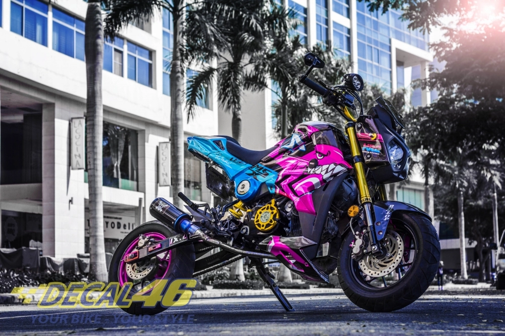 Msx độ bmw s1000r và bộ tem candy cá mập đẹp mắt