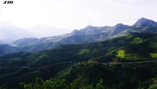 Mù cang chải vào thu