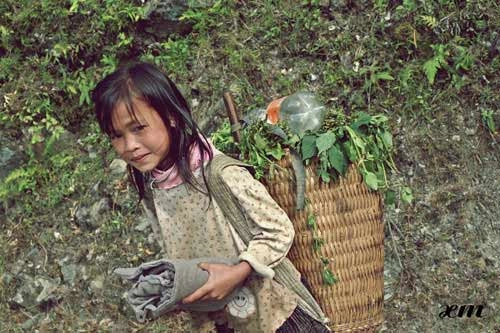 Mù cang chải vào thu
