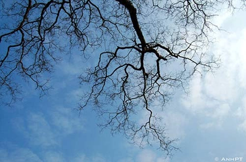 Ngắm sắc thu lãng mạn ở tam đảo