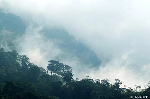 Ngắm sắc thu lãng mạn ở tam đảo