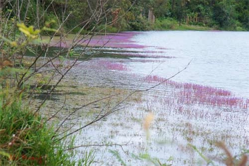 Ngỡ ngàng ngày trở lại pleiku