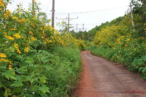 Ngỡ ngàng ngày trở lại pleiku