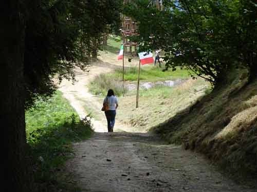 Nhà thờ cây ấn tượng ở italy
