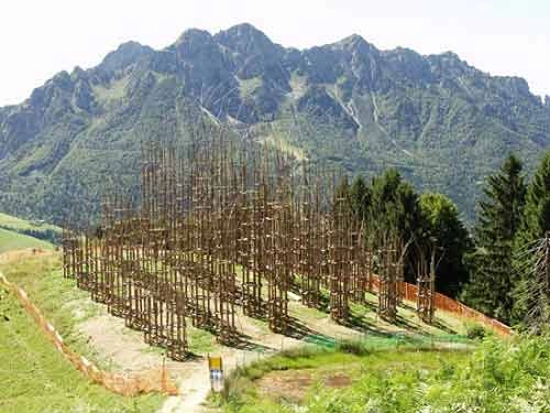 Nhà thờ cây ấn tượng ở italy