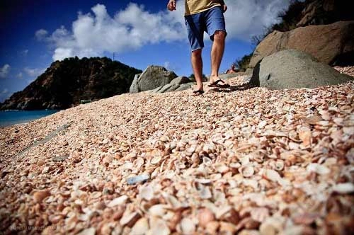 Những bãi biển vỏ sò tuyệt đẹp của thế giới