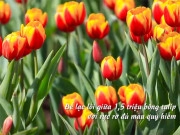 Những cảnh quan bí ẩn nhất địa cầu