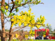 Những cảnh quan bí ẩn nhất địa cầu