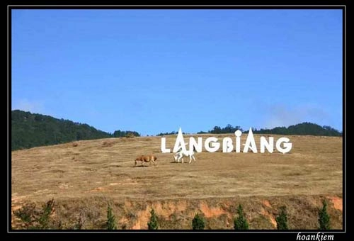 Những địa điểm trekking đầu năm thú vị cho giới trẻ