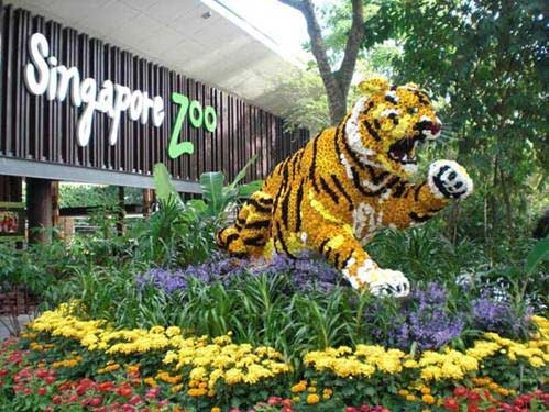Những điểm du lịch đa sắc màu tại singapore