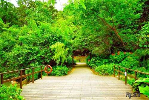 Những điểm du lịch đa sắc màu tại singapore