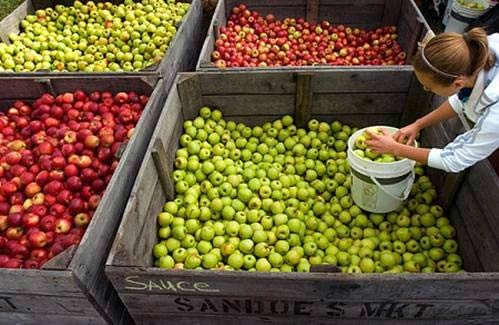 Những lễ hội mùa thu hấp dẫn trên thế giới