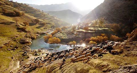 Những ngôi nhà bậc thang ấn tượng ở iran