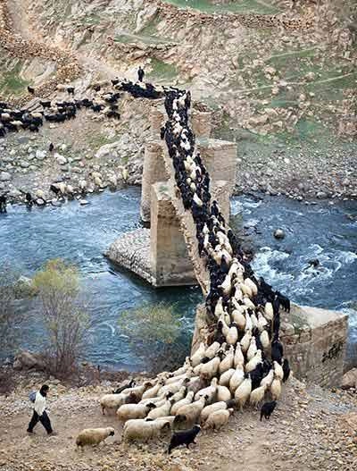 Những ngôi nhà bậc thang ấn tượng ở iran