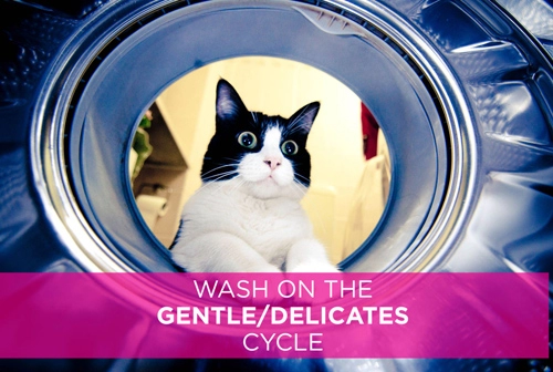 Nội y hỏng liên tục vì giặt máy là vì bạn chưa biết những mẹo này thôi