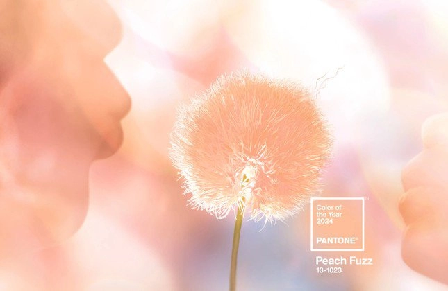 Peach fuzz - sắc hồng cam lên ngôi 2024 thổi bùng xu hướng thời trang ngọt ngào trẻ trung