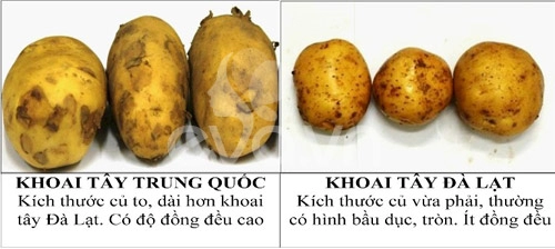 Phân biệt rau củ ta và tq cho con ăn dặm