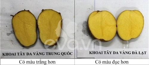 Phân biệt rau củ ta và tq cho con ăn dặm