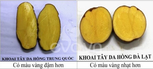 Phân biệt rau củ ta và tq cho con ăn dặm