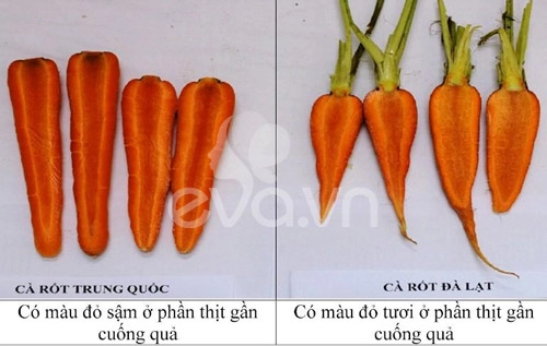 Phân biệt rau củ ta và tq cho con ăn dặm