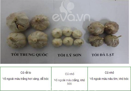 Phân biệt rau củ ta và tq cho con ăn dặm