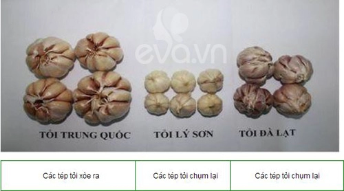 Phân biệt rau củ ta và tq cho con ăn dặm