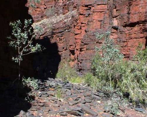 Phiêu lưu trong sắc màu karijini