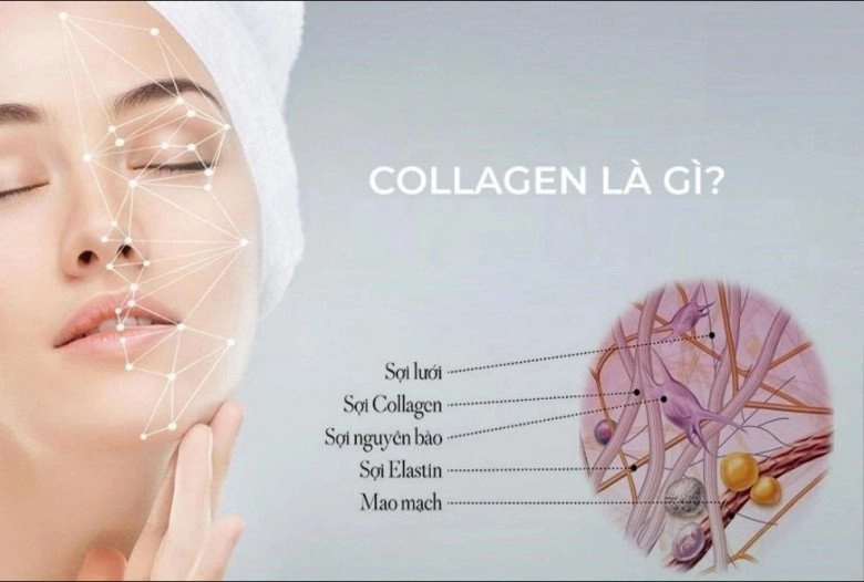 Sai lầm khi chăm ăn da heo để bổ sung collagen đâu mới là sự lựa chọn của phụ nữ