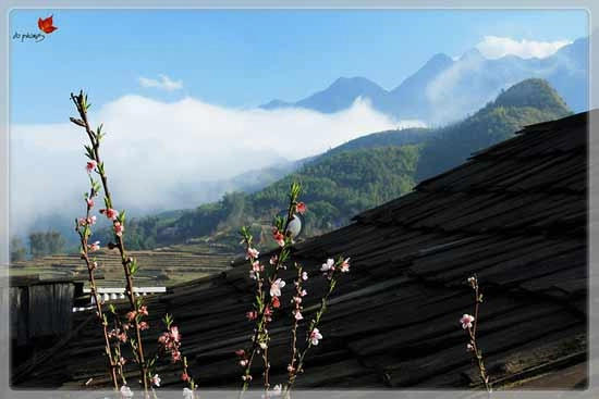 Sapa quyến rũ trong mây