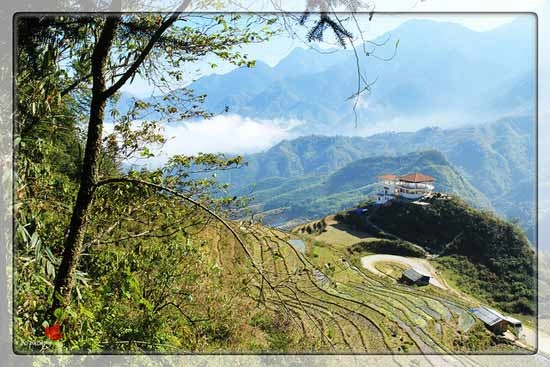 Sapa quyến rũ trong mây