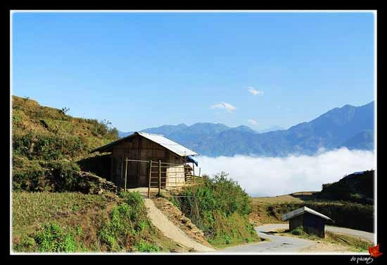 Sapa quyến rũ trong mây