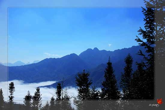 Sapa quyến rũ trong mây