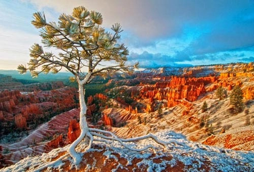 Sửng sốt bryce canyon