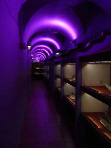 Thăm bảo tàng xác ướp kì lạ ở mexico